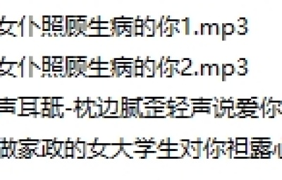 芝恩㱏 中文音声