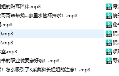 南晚姐姐 舰长音声