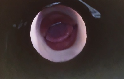 小灿助眠 5.27洞口甜平【新形式】